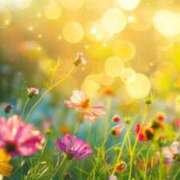 ヒメ日記 2026/03/23 14:29 投稿 森田 MadameRest(マダムレスト)