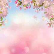 ヒメ日記 2026/03/24 15:09 投稿 森田 MadameRest(マダムレスト)