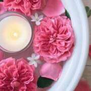 ヒメ日記 2026/03/28 03:47 投稿 森田 MadameRest(マダムレスト)