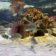 ヒメ日記 2026/04/01 12:59 投稿 森田 MadameRest(マダムレスト)