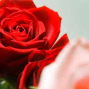 ヒメ日記 2026/04/04 04:43 投稿 森田 MadameRest(マダムレスト)