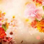 ヒメ日記 2026/04/13 02:07 投稿 森田 MadameRest(マダムレスト)