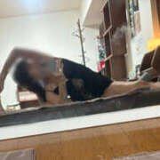 ヒメ日記 2026/04/13 16:39 投稿 森田 MadameRest(マダムレスト)