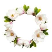 ヒメ日記 2026/04/14 03:57 投稿 森田 MadameRest(マダムレスト)