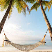 ヒメ日記 2026/04/16 13:06 投稿 森田 MadameRest(マダムレスト)