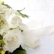 ヒメ日記 2026/04/25 04:07 投稿 森田 MadameRest(マダムレスト)