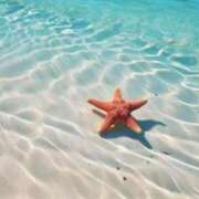 ヒメ日記 2026/04/27 12:36 投稿 森田 MadameRest(マダムレスト)