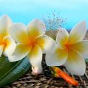 森田 受付終了です🙏 MadameRest(マダムレスト)