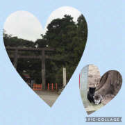 ヒメ日記 2024/12/15 12:50 投稿 しおり 完熟ばなな 横浜