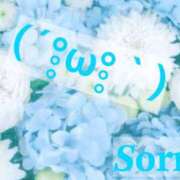 ヒメ日記 2025/06/12 00:15 投稿 ほたる 佐世保人妻デリヘル「デリ夫人」