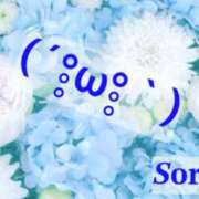 ヒメ日記 2026/04/19 08:08 投稿 ほたる 佐世保人妻デリヘル「デリ夫人」