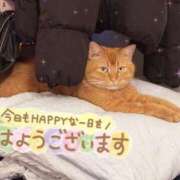 ヒメ日記 2024/12/21 07:25 投稿 あみ☆愛嬌たっぷりの可愛い子♪ 妹系イメージSOAP萌えフードル学園 大宮本校