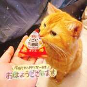 ヒメ日記 2025/02/22 06:49 投稿 あみ☆愛嬌たっぷりの可愛い子♪ 妹系イメージSOAP萌えフードル学園 大宮本校