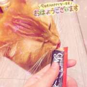 ヒメ日記 2025/02/23 06:48 投稿 あみ☆愛嬌たっぷりの可愛い子♪ 妹系イメージSOAP萌えフードル学園 大宮本校