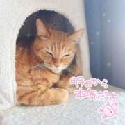 ヒメ日記 2025/02/27 17:16 投稿 あみ☆愛嬌たっぷりの可愛い子♪ 妹系イメージSOAP萌えフードル学園 大宮本校