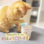 ヒメ日記 2025/04/18 06:48 投稿 あみ☆愛嬌たっぷりの可愛い子♪ 妹系イメージSOAP萌えフードル学園 大宮本校