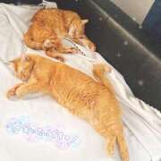 ヒメ日記 2025/04/22 12:46 投稿 あみ☆愛嬌たっぷりの可愛い子♪ 妹系イメージSOAP萌えフードル学園 大宮本校