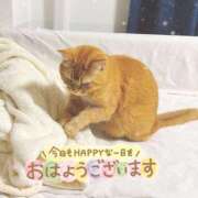 ヒメ日記 2025/04/26 06:49 投稿 あみ☆愛嬌たっぷりの可愛い子♪ 妹系イメージSOAP萌えフードル学園 大宮本校