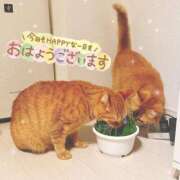 ヒメ日記 2025/07/21 12:51 投稿 あみ☆愛嬌たっぷりの可愛い子♪ 妹系イメージSOAP萌えフードル学園 大宮本校