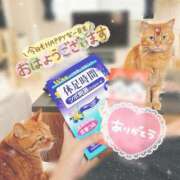 ヒメ日記 2025/08/15 06:46 投稿 あみ☆愛嬌たっぷりの可愛い子♪ 妹系イメージSOAP萌えフードル学園 大宮本校