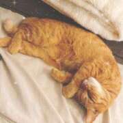 ヒメ日記 2025/08/29 00:21 投稿 あみ☆愛嬌たっぷりの可愛い子♪ 妹系イメージSOAP萌えフードル学園 大宮本校