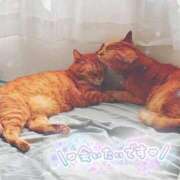 ヒメ日記 2025/10/08 23:51 投稿 あみ☆愛嬌たっぷりの可愛い子♪ 妹系イメージSOAP萌えフードル学園 大宮本校