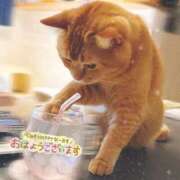 ヒメ日記 2025/10/19 06:51 投稿 あみ☆愛嬌たっぷりの可愛い子♪ 妹系イメージSOAP萌えフードル学園 大宮本校