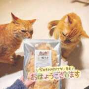 ヒメ日記 2026/02/22 07:01 投稿 あみ☆愛嬌たっぷりの可愛い子♪ 妹系イメージSOAP萌えフードル学園 大宮本校