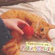 ヒメ日記 2026/03/22 06:51 投稿 あみ☆愛嬌たっぷりの可愛い子♪ 妹系イメージSOAP萌えフードル学園 大宮本校