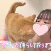 ヒメ日記 2026/03/26 19:54 投稿 あみ☆愛嬌たっぷりの可愛い子♪ 妹系イメージSOAP萌えフードル学園 大宮本校