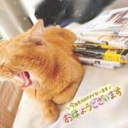 ヒメ日記 2026/03/28 10:32 投稿 あみ☆愛嬌たっぷりの可愛い子♪ 妹系イメージSOAP萌えフードル学園 大宮本校