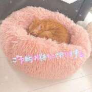 ヒメ日記 2026/04/02 13:31 投稿 あみ☆愛嬌たっぷりの可愛い子♪ 妹系イメージSOAP萌えフードル学園 大宮本校