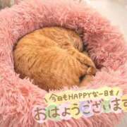 ヒメ日記 2026/04/27 08:01 投稿 あみ☆愛嬌たっぷりの可愛い子♪ 妹系イメージSOAP萌えフードル学園 大宮本校