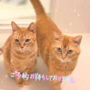 ヒメ日記 2026/07/09 13:01 投稿 あみ☆愛嬌たっぷりの可愛い子♪ 妹系イメージSOAP萌えフードル学園 大宮本校