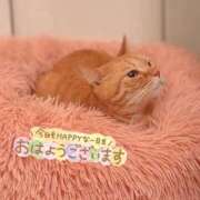 ヒメ日記 2026/07/15 06:41 投稿 あみ☆愛嬌たっぷりの可愛い子♪ 妹系イメージSOAP萌えフードル学園 大宮本校