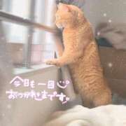 ヒメ日記 2026/07/23 19:18 投稿 あみ☆愛嬌たっぷりの可愛い子♪ 妹系イメージSOAP萌えフードル学園 大宮本校