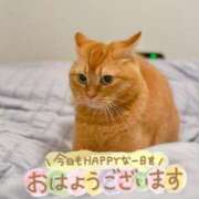 ヒメ日記 2026/09/14 07:01 投稿 あみ☆愛嬌たっぷりの可愛い子♪ 妹系イメージSOAP萌えフードル学園 大宮本校