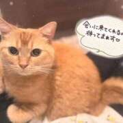 ヒメ日記 2026/10/06 16:21 投稿 あみ☆愛嬌たっぷりの可愛い子♪ 妹系イメージSOAP萌えフードル学園 大宮本校