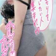 ヒメ日記 2025/12/12 12:01 投稿 及川つむ キュア＆マジック