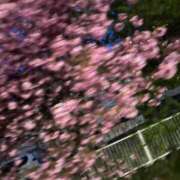 ヒメ日記 2025/11/17 20:50 投稿 めぐ 花火-hanabi-(すすきの)