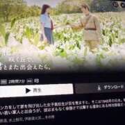 ヒメ日記 2026/04/29 23:53 投稿 めぐ 花火-hanabi-(すすきの)