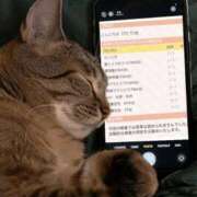 ヒメ日記 2025/10/20 14:11 投稿 片瀬 BBW西船橋店