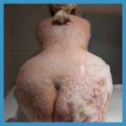 ヒメ日記 2024/12/23 00:11 投稿 望月 BBW西船橋店