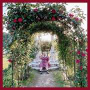 ヒメ日記 2025/06/14 11:21 投稿 望月 BBW西船橋店