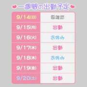 ヒメ日記 2025/09/14 17:31 投稿 望月 BBW西船橋店