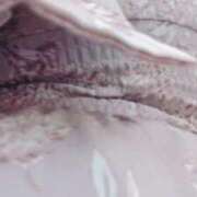 ヒメ日記 2025/10/04 12:03 投稿 望月 BBW西船橋店