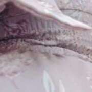 ヒメ日記 2025/12/01 18:06 投稿 望月 BBW西船橋店