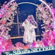 ヒメ日記 2026/04/04 23:31 投稿 望月 BBW西船橋店