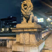 ヒメ日記 2025/07/20 08:00 投稿 すずか 奥鉄オクテツ奈良