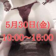 ヒメ日記 2025/05/27 15:22 投稿 いずみ Evolution 2nd